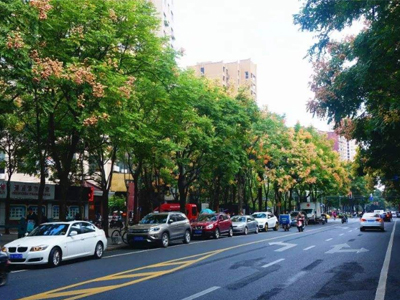 沾益區(qū)昌平路
